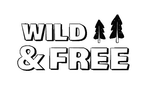 Adventure Wildandfree Sticker by Contiki