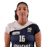 Miovolley everest scara miovolley Sticker
