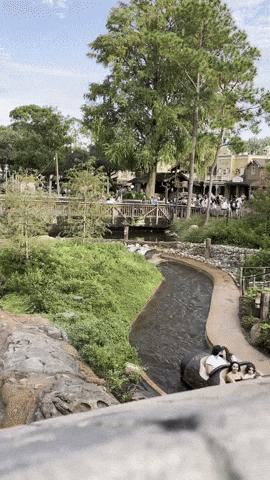 kellytraceygagnon giphyupload GIF