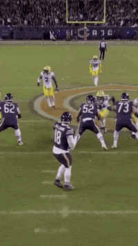 Green Bay Nfl GIF