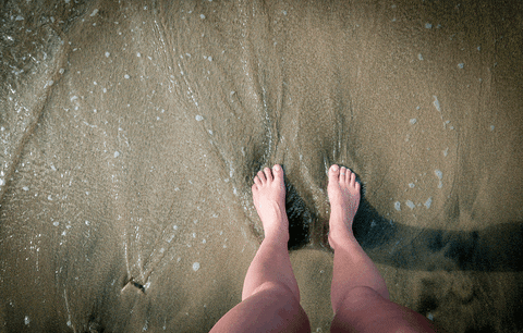 wash GIF