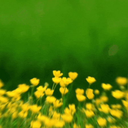 Easter Bunny GIF by TeaCosyFolk