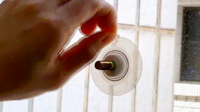 yenber giphyupload mysigcat mysig喵空漫步 貓跳台 GIF