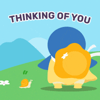 finchcare cute bird thinking pet GIF