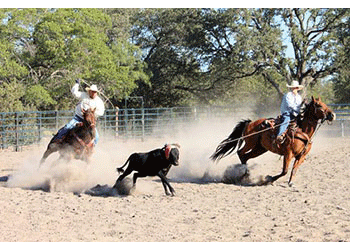rodeo GIF