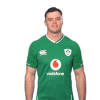 Pointing Ireland Sticker by Irish Rugby