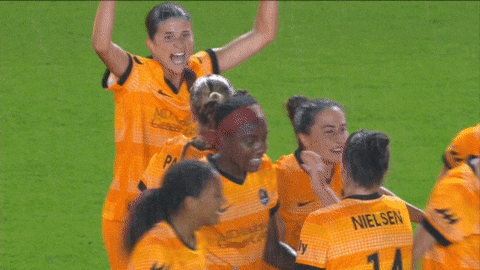 2025 GIF by National Women's Soccer League
