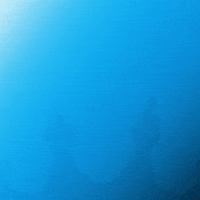 Soccer Mls GIF by CharlotteFC