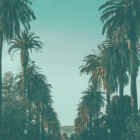 LAvsHate giphyupload california la los angeles GIF