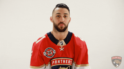 Ice Hockey GIF by Florida Panthers