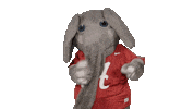 Crimson Tide Ua Sticker by The University of Alabama