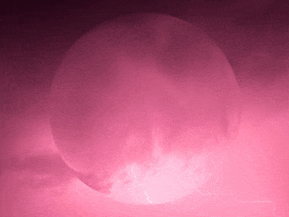 You Can Wow GIF by FranchiseONE.de