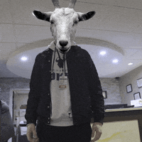 rokkr esports goat pew pew cdl GIF