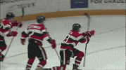 goal yes GIF by Ottawa 67's