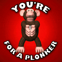I Like You Ok GIF