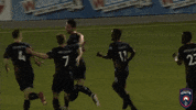 celebrate league one GIF by Lansing Ignite FC