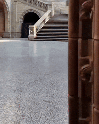 Pokemon Hello GIF by Respective