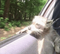 한숨 햇빛 GIF