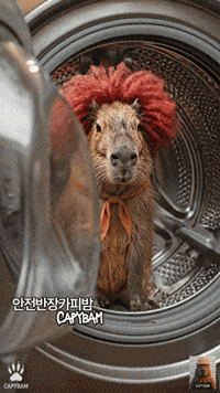 Clown Staring GIF
