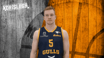 Basketball Hoops GIF by Basket_fi