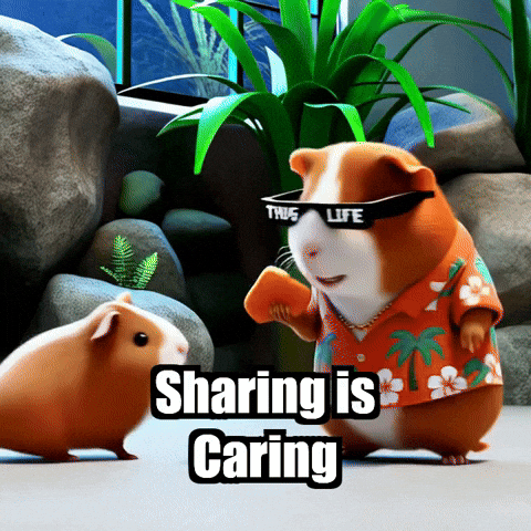 Guinea Pig Kind GIF by Guinea Gambino