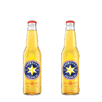 Love Is Love Beer Sticker by Estrella Jalisco