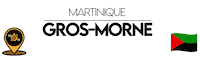 Martinique Sticker by NoirNomads