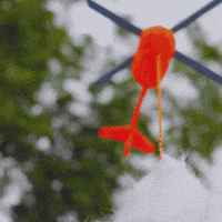 Hang In There Baby!