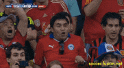 excited world cup GIF by Fusion