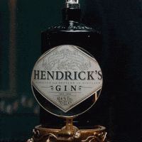 Drinks Serve GIF by HENDRICK'S GIN