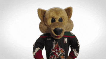Arizona Coyotes What GIF by NHL