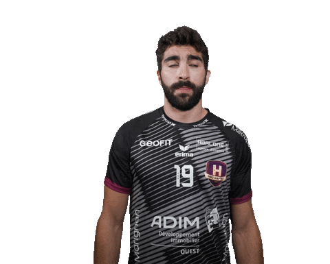 Ehf Cup H Sticker by HBCNantes