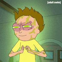 Season 3 Episode 308 GIF by Rick and Morty