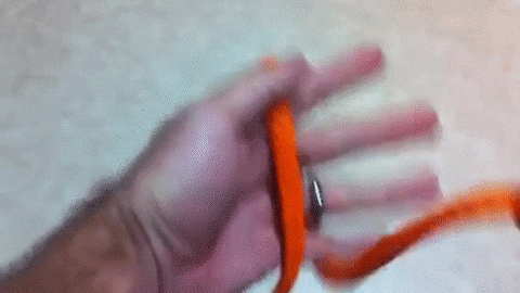 butterfly knot GIF