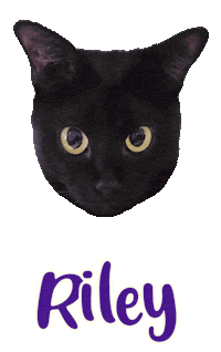 Cat Riley Sticker