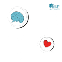 mlp_studio mind passion digital agency web agency GIF