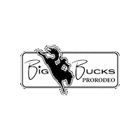 Big Bucks Sticker by ABI Attachments
