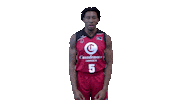 Liga Endesa Win Sticker by ACB