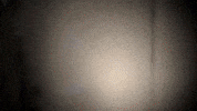 Band Philadelphia GIF by Topshelf Records
