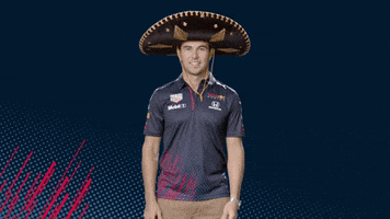 Red Bull Sport GIF by Red Bull Racing Honda
