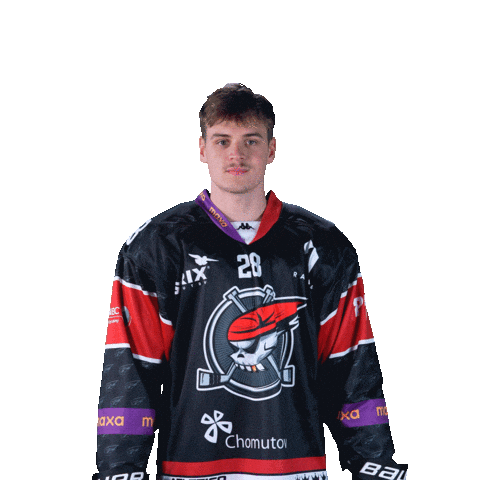 Hokej Sticker by Piráti Chomutov