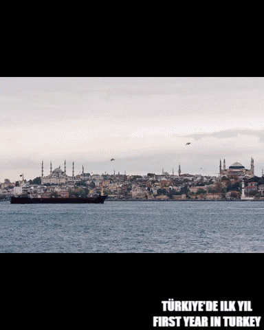 photography turkey GIF