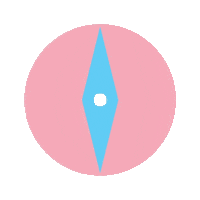 Trans Rights Tdov Sticker by Trans Europe and Central Asia