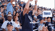 NevadaWolfPack football nevada wolf pack nevada wolf pack GIF