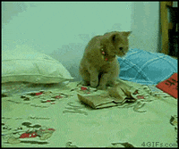 moving GIF
