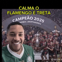 Libertadores GIF