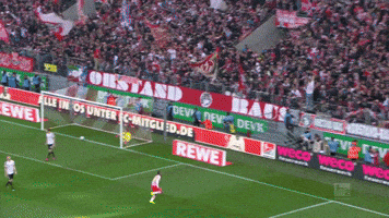 2. bundesliga football GIF by 1. FC Köln