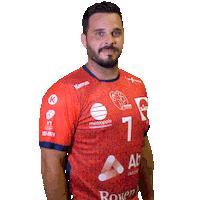 Sport Handball Sticker