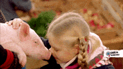 tiere bis unters dach good luck GIF by SWR Kindernetz