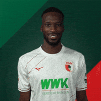 France Bundesliga GIF by FC Augsburg 1907